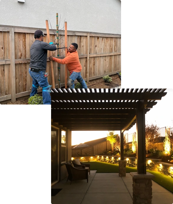 Landscape design process and completed pergola